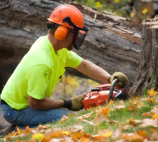 tree services Ulen